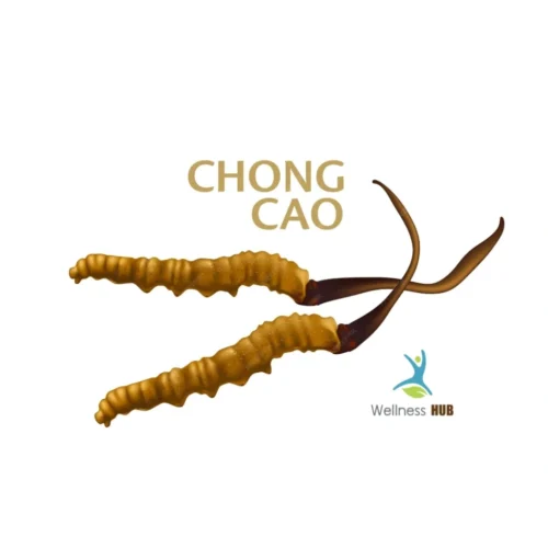 Chong-Cao-Cha-1024x1024 Chong Cao Cha ชาถั่งเช่า
