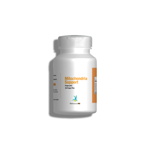 Mitochondria-Support-1024x1024 Mitochondria Support อาหารเสริมไมโตคอนเดรีย