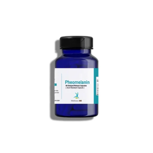 Pheomelanin-1024x1024 Pheomelanin | ฟีโอเมลานิน