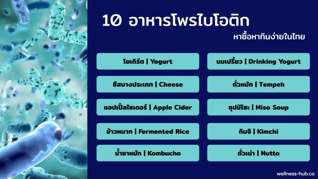 โพรไบโอติก Probiotic | คืออะไร? ช่วยอะไร?