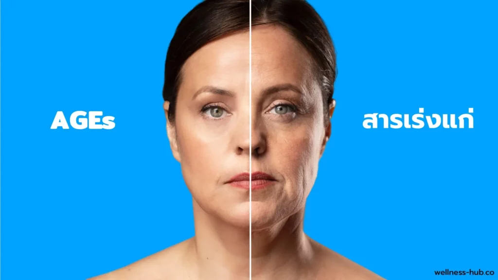 Advanced Glycation End Products | สารเร่งความแก่