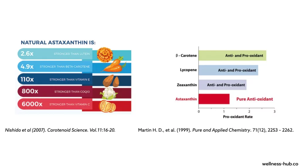 Astaxanthin | สารต้านอนุมูลอิสระที่แรงกว่า วิตามินซี 6,000 เท่า
