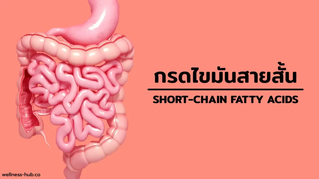 Short-Chain Fatty Acids