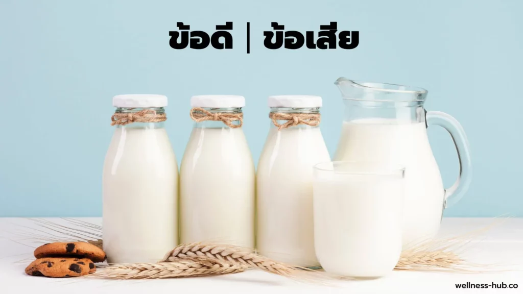 นมวัว | ข้อดี VS ข้อเสีย