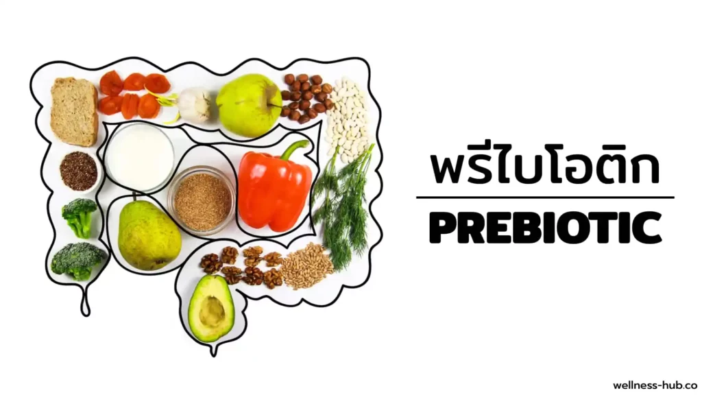 พรีไบโอติก Prebiotic | คืออะไร? มีประโยชน์อะไร?